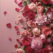 ひなた 💌お礼〜次回の出勤〜 西川口マーメイド