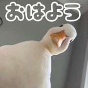 ヒメ日記 2026/02/20 08:20 投稿 ひなた 西川口マーメイド