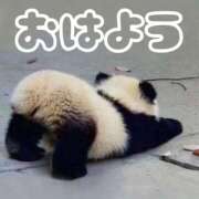 ヒメ日記 2026/02/21 08:18 投稿 ひなた 西川口マーメイド