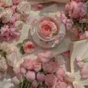 ヒメ日記 2026/02/20 16:56 投稿 ひなた 西川口マーメイド