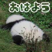 ヒメ日記 2026/02/22 08:19 投稿 ひなた 西川口マーメイド