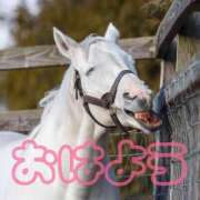 ヒメ日記 2026/02/25 08:18 投稿 ひなた 西川口マーメイド