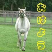 ヒメ日記 2026/02/27 08:17 投稿 ひなた 西川口マーメイド