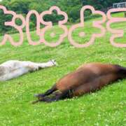 ヒメ日記 2026/02/26 08:19 投稿 ひなた 西川口マーメイド