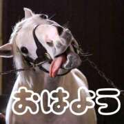 ヒメ日記 2026/02/28 08:20 投稿 ひなた 西川口マーメイド