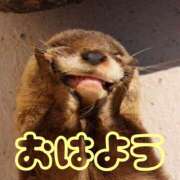 ヒメ日記 2026/03/01 08:20 投稿 ひなた 西川口マーメイド