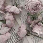 ヒメ日記 2026/02/28 17:45 投稿 ひなた 西川口マーメイド