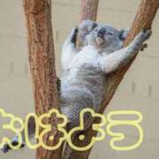 ヒメ日記 2026/03/04 08:20 投稿 ひなた 西川口マーメイド