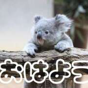 ヒメ日記 2026/03/08 08:20 投稿 ひなた 西川口マーメイド