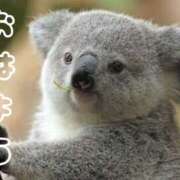 ヒメ日記 2026/03/09 08:19 投稿 ひなた 西川口マーメイド