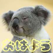 ヒメ日記 2026/03/10 08:18 投稿 ひなた 西川口マーメイド