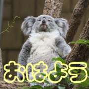 ヒメ日記 2026/03/11 08:19 投稿 ひなた 西川口マーメイド