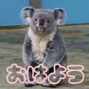 ヒメ日記 2026/03/13 08:17 投稿 ひなた 西川口マーメイド