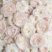 ヒメ日記 2026/03/09 14:21 投稿 ひなた 西川口マーメイド