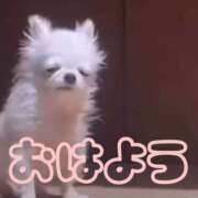 ヒメ日記 2026/03/15 08:18 投稿 ひなた 西川口マーメイド