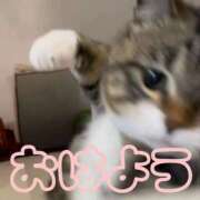 ヒメ日記 2026/03/20 08:17 投稿 ひなた 西川口マーメイド