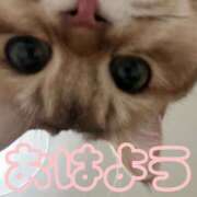 ヒメ日記 2026/03/21 08:19 投稿 ひなた 西川口マーメイド