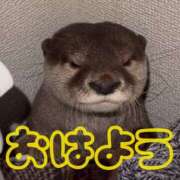 ヒメ日記 2026/03/23 08:17 投稿 ひなた 西川口マーメイド