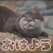 ヒメ日記 2026/03/25 08:17 投稿 ひなた 西川口マーメイド