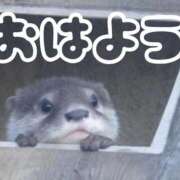 ヒメ日記 2026/03/27 08:20 投稿 ひなた 西川口マーメイド