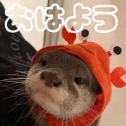 ヒメ日記 2026/03/28 08:18 投稿 ひなた 西川口マーメイド