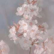 ひなた 💌お礼〜次回の出勤〜 西川口マーメイド