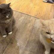 ヒメ日記 2026/04/08 08:17 投稿 ひなた 西川口マーメイド