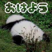 ヒメ日記 2026/05/27 08:18 投稿 ひなた 西川口マーメイド