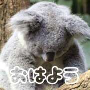 ヒメ日記 2026/06/07 08:18 投稿 ひなた 西川口マーメイド