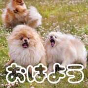 ひなた ⛅️ 西川口マーメイド
