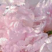 ひなた 💌お礼〜次回の出勤〜 西川口マーメイド