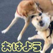 ヒメ日記 2026/09/23 08:17 投稿 ひなた 西川口マーメイド