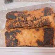 ヒメ日記 2025/07/02 19:29 投稿 春歌ゆうな 奴隷志願！変態調教飼育クラブ本店