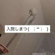 ヒメ日記 2026/02/12 17:45 投稿 春歌ゆうな 奴隷志願！変態調教飼育クラブ本店