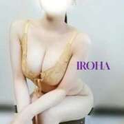 ヒメ日記 2025/08/23 07:40 投稿 和泉いろは やみつきエステ錦糸町店