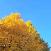 ヒメ日記 2025/12/02 12:20 投稿 和泉いろは やみつきエステ錦糸町店