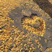 ヒメ日記 2025/12/22 10:40 投稿 和泉いろは やみつきエステ錦糸町店