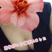 ヒメ日記 2025/12/19 17:50 投稿 さゆり 熟女の風俗最終章 相模原店