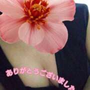 ヒメ日記 2026/01/15 14:39 投稿 さゆり 熟女の風俗最終章 相模原店