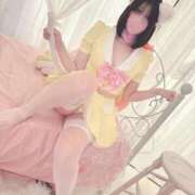 ヒメ日記 2025/11/18 12:07 投稿 てれさ E+アイドルスクール池袋店