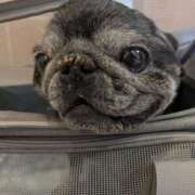 ヒメ日記 2025/09/24 22:32 投稿 一ノ瀬めぐみ プレジデントクラブ