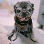 ヒメ日記 2025/10/15 04:57 投稿 一ノ瀬めぐみ プレジデントクラブ