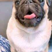 ヒメ日記 2025/11/01 15:43 投稿 一ノ瀬めぐみ プレジデントクラブ