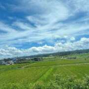 ヒメ日記 2025/07/27 12:00 投稿 淫獣～お菊 ドMな奥様 大阪本店