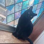 ヒメ日記 2025/08/18 21:57 投稿 淫獣～お菊 ドMな奥様 大阪本店