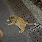 ヒメ日記 2025/10/18 20:05 投稿 なぎ ナチュラルプリンセス