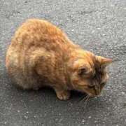 ヒメ日記 2025/10/31 20:53 投稿 なぎ ナチュラルプリンセス