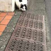 ヒメ日記 2025/11/03 16:45 投稿 なぎ ナチュラルプリンセス