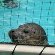 ヒメ日記 2026/01/15 08:13 投稿 なぎ ナチュラルプリンセス