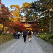 ヒメ日記 2025/11/17 15:01 投稿 夏輝　みその ノーパンパンスト スケベなOL梅田・兎我野店